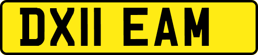 DX11EAM