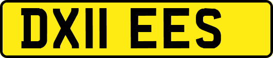 DX11EES