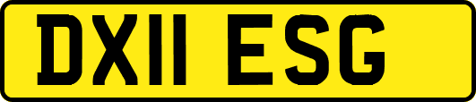 DX11ESG