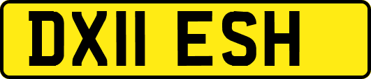DX11ESH