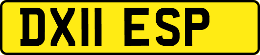 DX11ESP