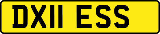 DX11ESS
