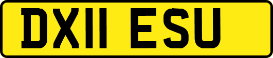 DX11ESU