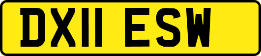DX11ESW