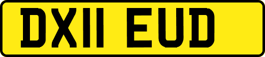 DX11EUD