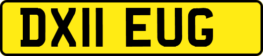 DX11EUG