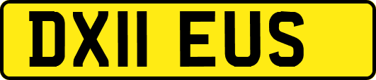 DX11EUS