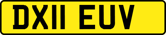 DX11EUV
