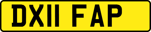 DX11FAP