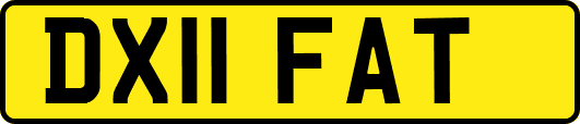 DX11FAT