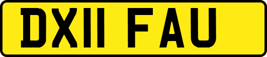DX11FAU
