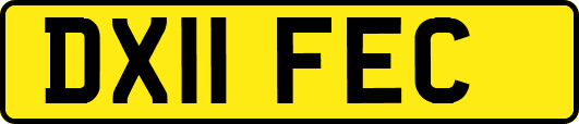 DX11FEC