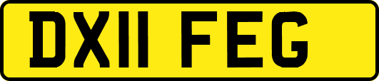 DX11FEG