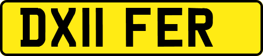 DX11FER