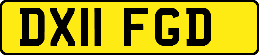 DX11FGD
