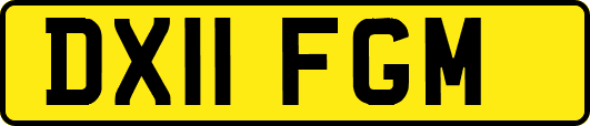 DX11FGM