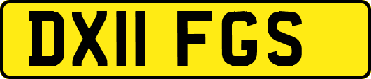 DX11FGS