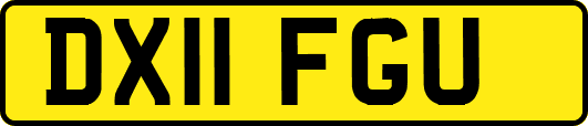 DX11FGU