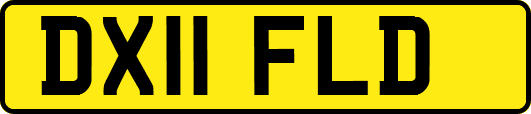 DX11FLD