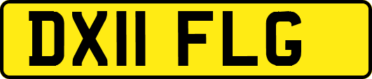 DX11FLG