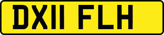 DX11FLH