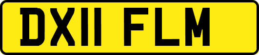 DX11FLM