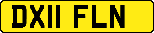 DX11FLN