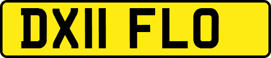 DX11FLO