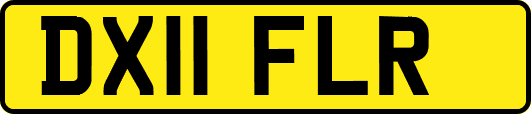 DX11FLR
