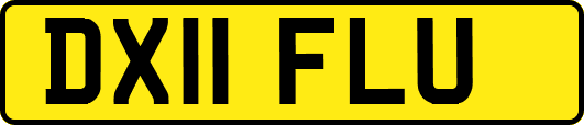 DX11FLU