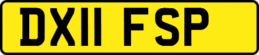 DX11FSP