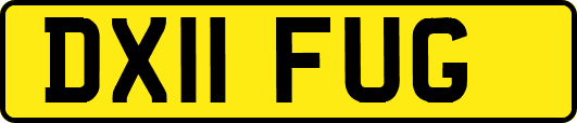 DX11FUG
