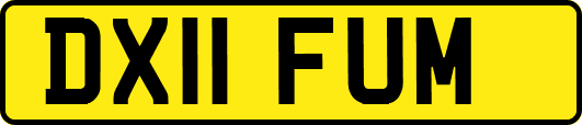 DX11FUM