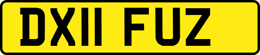 DX11FUZ