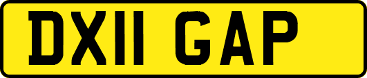 DX11GAP
