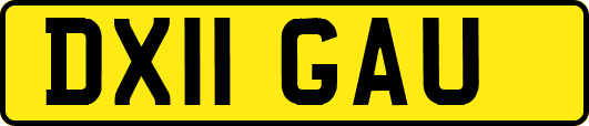 DX11GAU