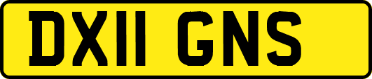 DX11GNS
