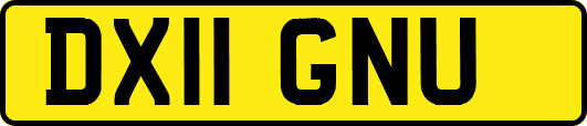 DX11GNU