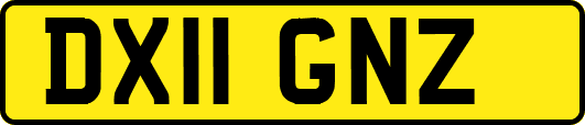 DX11GNZ