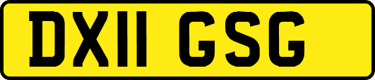 DX11GSG