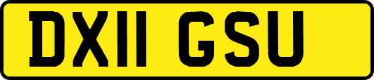 DX11GSU