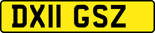 DX11GSZ
