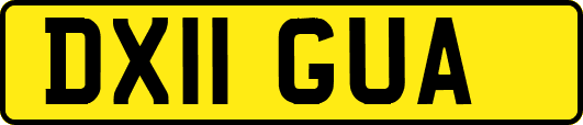 DX11GUA