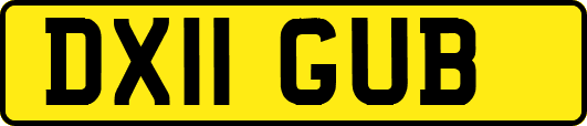 DX11GUB