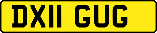 DX11GUG