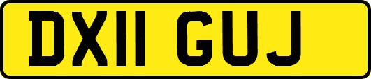 DX11GUJ