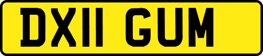 DX11GUM
