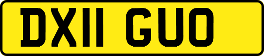 DX11GUO