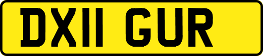 DX11GUR