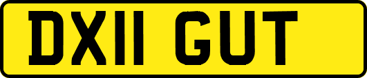 DX11GUT